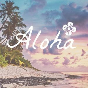 Meet your Posher, Carlyn